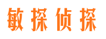 开江侦探公司